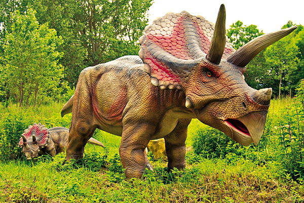 Naturpark Dinosaurierland Rügen